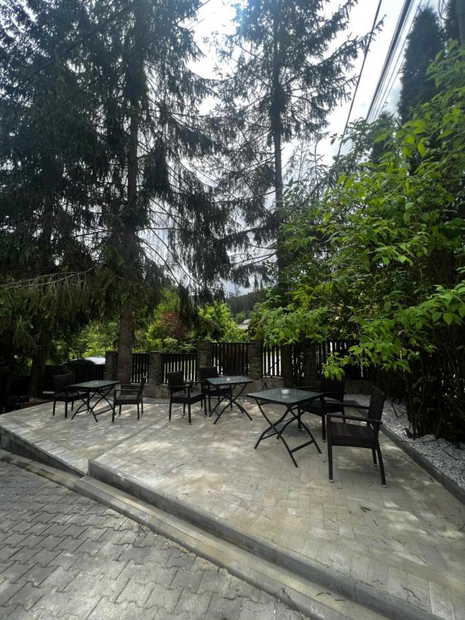Chalet Minut Vatra Dornei Dış mekan fotoğraf