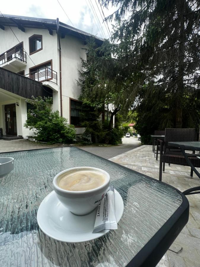 Chalet Minut Vatra Dornei Dış mekan fotoğraf